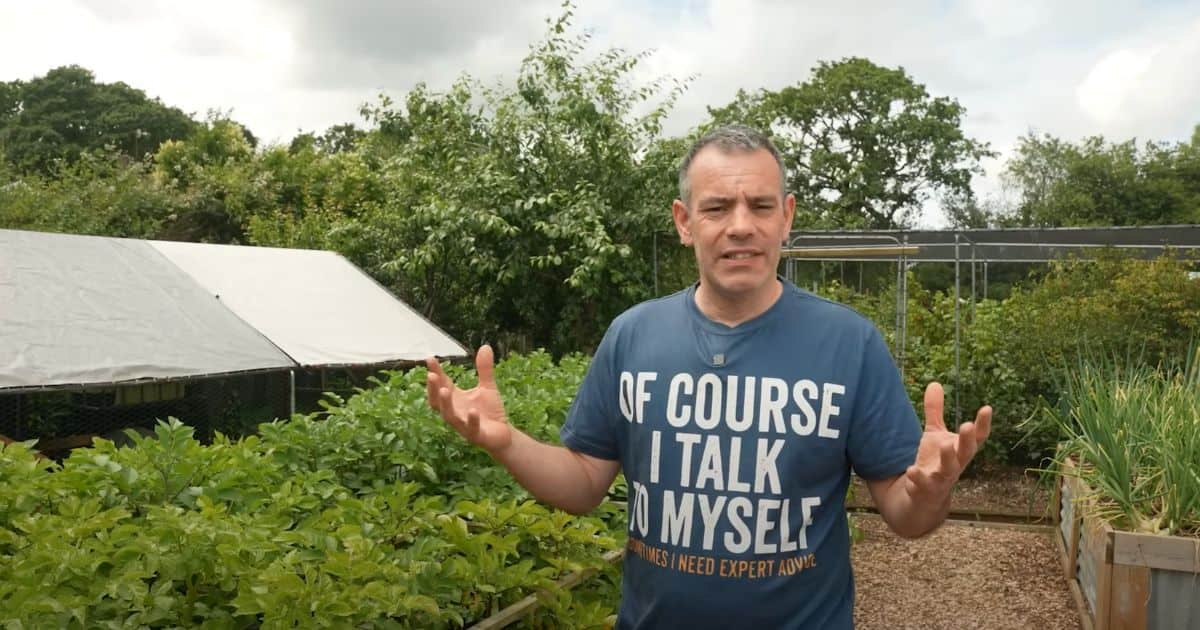 Our Journey: From Garden to Apiary