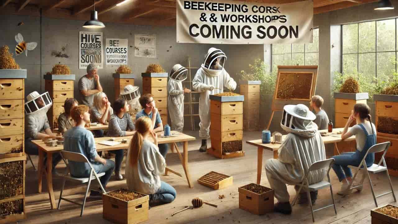 beekeeping courses and workshops by Simplify Beekeeping