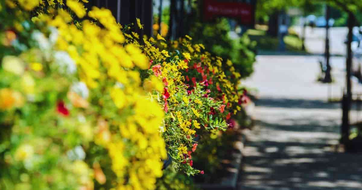 Continuous Habitat for Pollinators